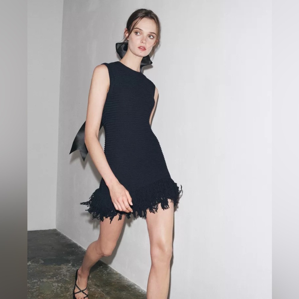 Zara FRINGED CHECKERED KNIT dress

4331/026/401